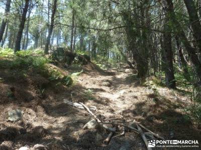 Pinares de Piedralaves;casillas pueblo bastones de senderismo rutas navacerrada